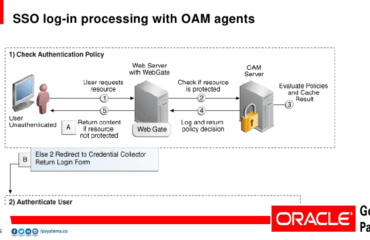 P Systems Oracle access manager blog post