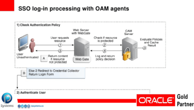 P Systems Oracle access manager blog post