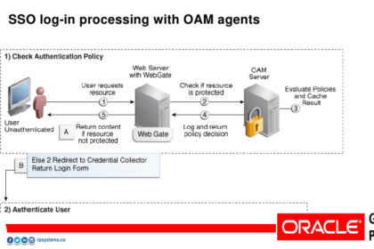 P Systems Oracle access manager blog post